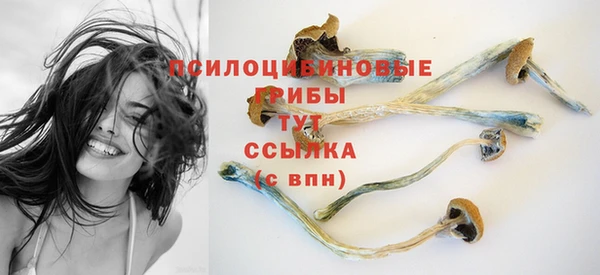 прущий лед Семёнов