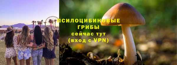 герыч Заводоуковск